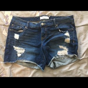 Torrid shorts